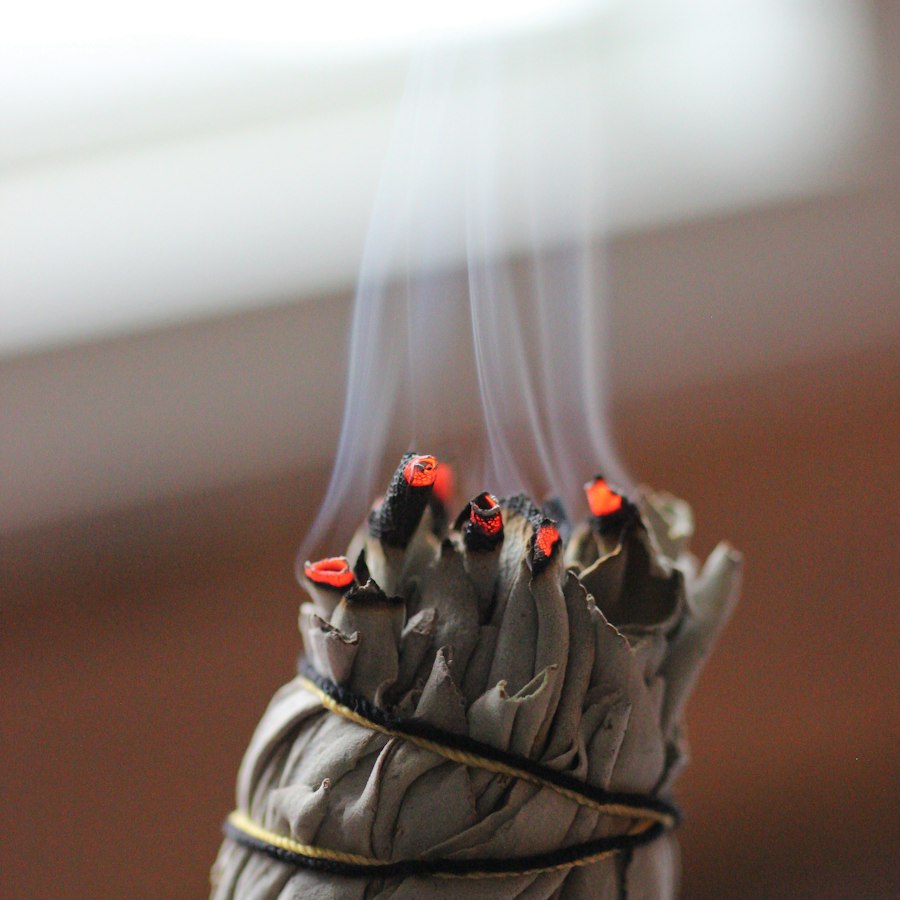Sage Bundle